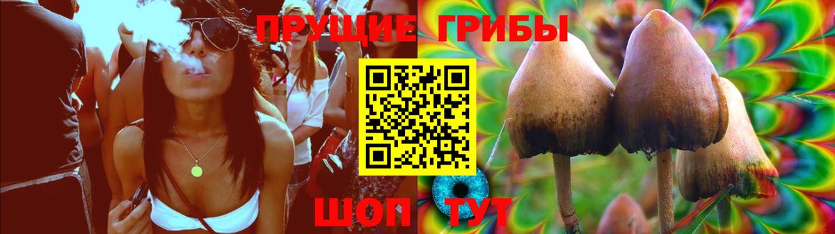 Псилоцибиновые грибы Magic Shrooms  Вход с VPN  Кострома 